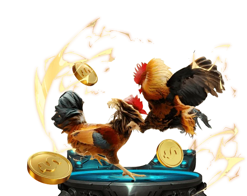 Cá cược thể thao ok83862